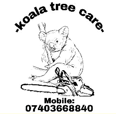 Koala Tree Care Logo
